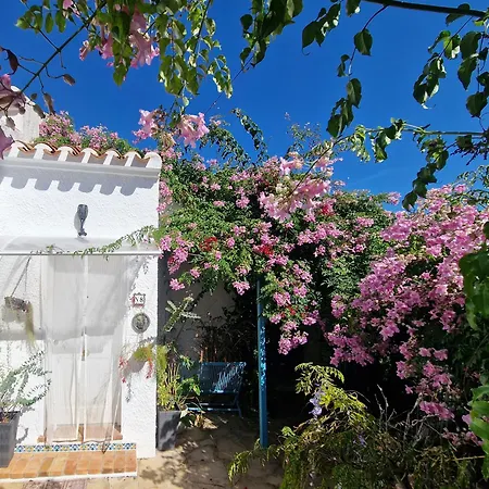 Aurica * Jávea
