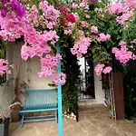 Aurica Casa de Férias *
