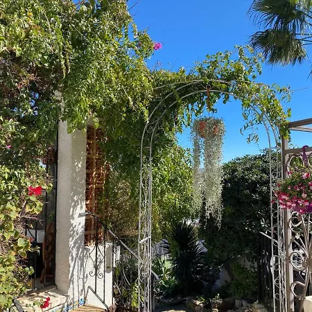 Aurica Holiday home