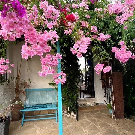Aurica Holiday home *